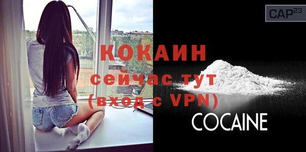 2c-b Козельск