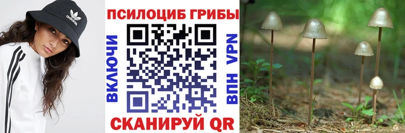 Галлюциногенные грибы мицелий  Купить закладки  Белоозёрский 